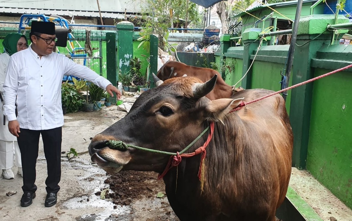 Program Berqurban dan Berbagi, PP IPPAT Potong 13 Ekor Hewan Qurban